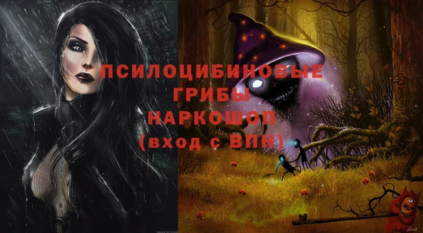 прущая мука Арсеньев