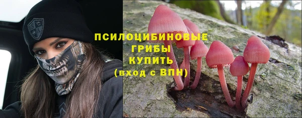 героин Бородино