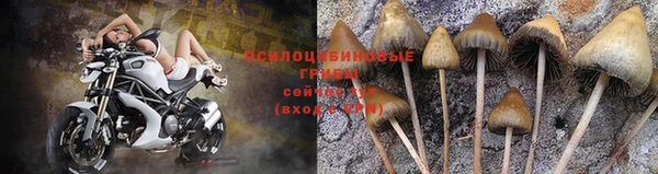 кокаин премиум Аркадак