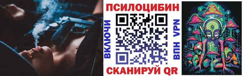 Галлюциногенные грибы Psilocybine cubensis  Спасск-Дальний 