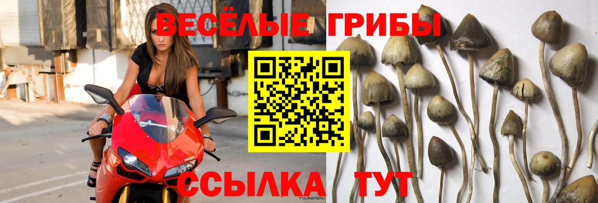 Галлюциногенные грибы ЛСД Спасск-Дальний